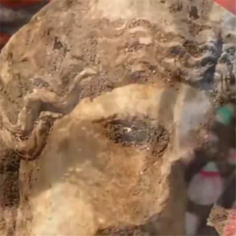 罗马挖出两千年前酒神雕像