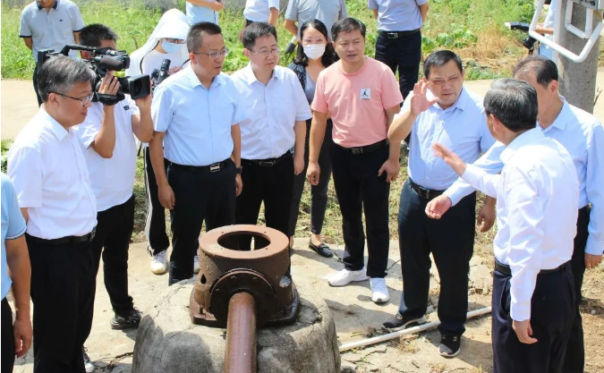 仪征市月塘镇：扬州市委副书记韩骅带队调研抗旱保苗工作