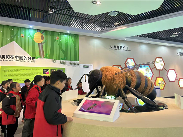 蜂舞探秘，甜蜜研学——盱眙县盱城街道中心小学组织学生走进蜜蜂科普实践基