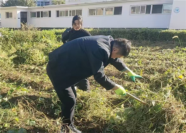 薯地志愿行 关爱伴成长——盱眙县管镇中心小学教师志愿者陪留守儿童体验劳动乐趣