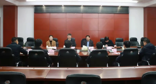 浙江凌飞集团来仪征青山洽谈项目合作