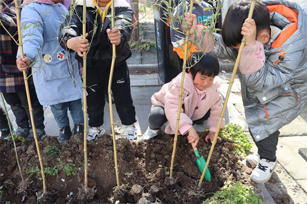 “我在幼儿园有根竹”——盱眙县河桥镇中心幼儿园开展植树节活动