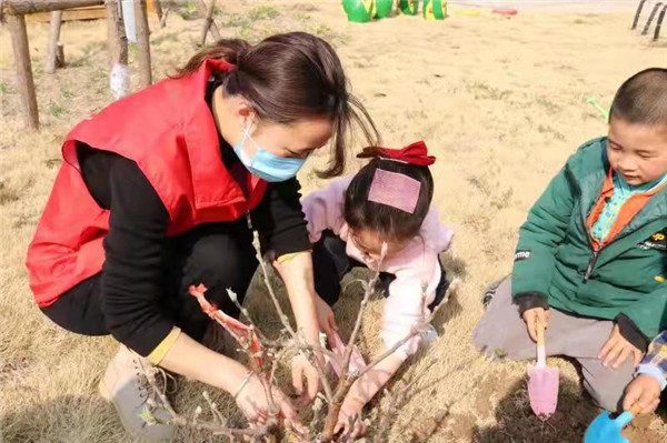 大手牵小手，同植一片绿——盱眙开发区幼儿园党支部冬训植树活动