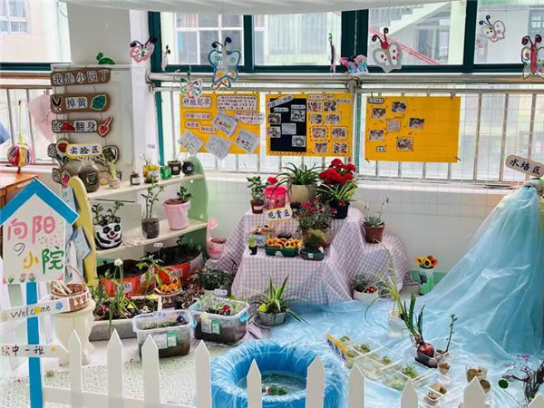 一隅小角 遇见美好——盱眙县城南中心幼儿园开展自然角评比活动