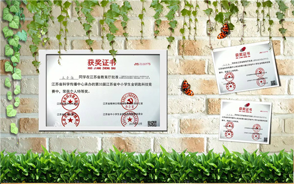 我在开小这六年——王子任