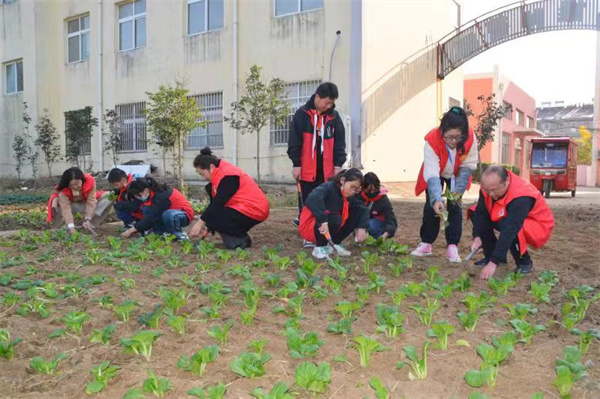 种植进课堂  劳动助“双减”——盱眙县维桥小学党支部开展主题党日活动