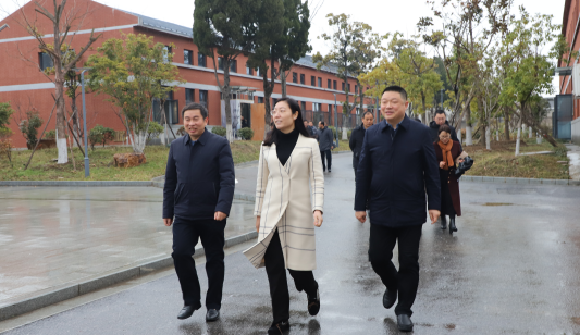 张玲副区长、杜成智局长一行莅临公道中学调研指导
