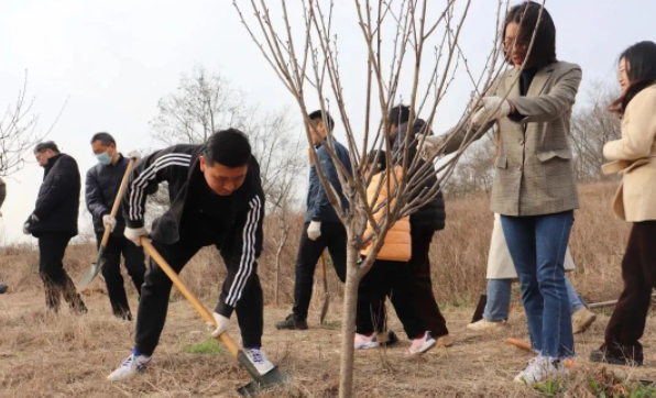 仪征市青山镇：植树添新绿 不负好春光