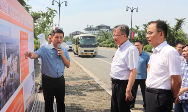 仪征市委书记孙建年调研龙山生态新城首发项目建设情况