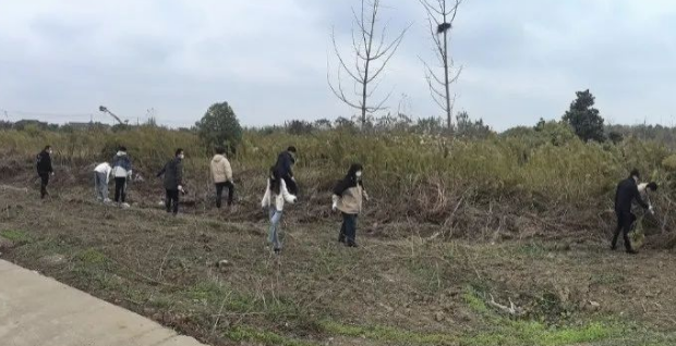 仪征市新集镇：青年干部参与多种“沉浸式”实践