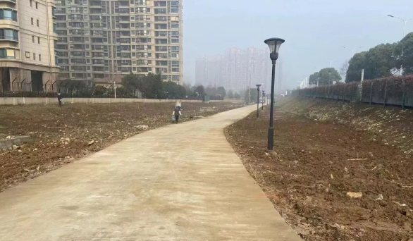 仪征市城市管理局：为脏乱差地块加“绿”镜