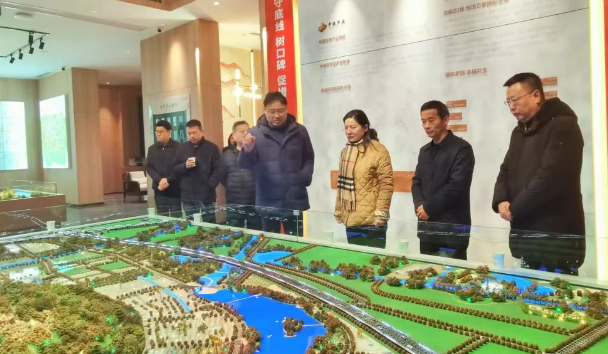仪征市委副书记胡彩云到枣林湾调研重点项目建设情况