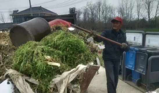 邗江区公道镇：开展环境整治 提升乡村“颜值”