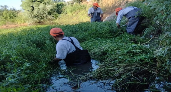 仪征市月塘镇水利站：清杂除草为河道保洁