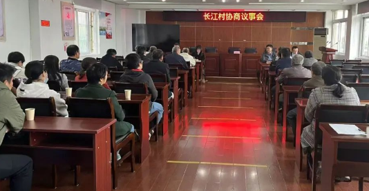 仪征市真州镇：党建网格化 打造“议事圈”