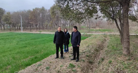仪征市真州镇：守护绿色家园 增进生态福祉