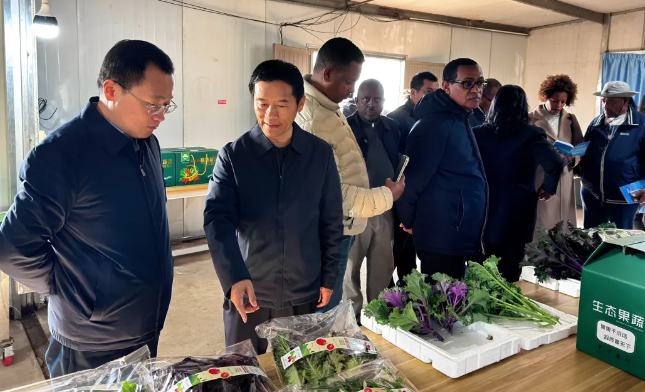 埃塞俄比亚亚的斯亚贝巴市市长参访仪征枣林湾