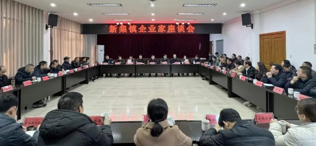 仪征市新集镇：政企同心共促经济高质量发展