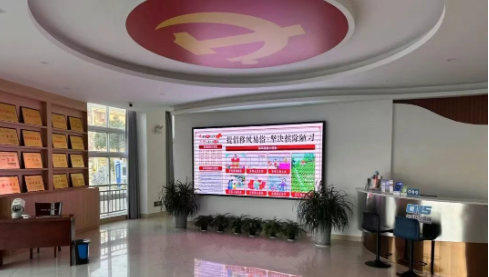 仪征市新集镇：文明为笔，绘就和美乡村新画卷