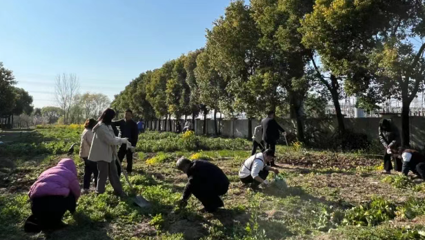奥克管理中心：除草劳动奏响“扭亏增效”冲锋号