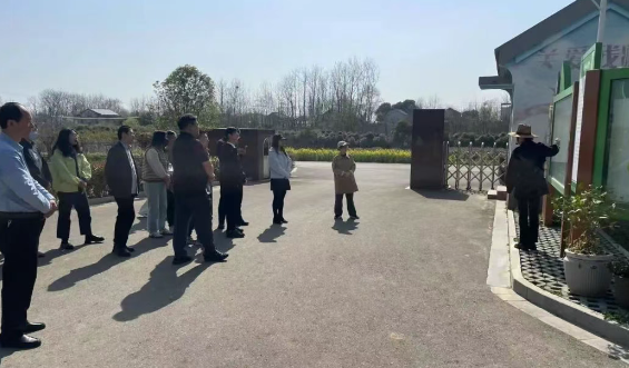 仪征市残联：筑梦党支部与枣林湾文旅党支部开展党建共建