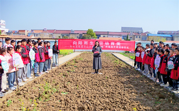 青苗破土启新绿 劳动教育润童心——盱眙县维桥中心小学“向阳娃”种植园春季开耕仪式