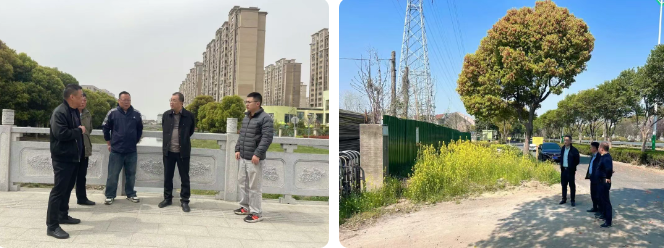 仪征市真州镇：擦亮宜居宜业和美乡村底色