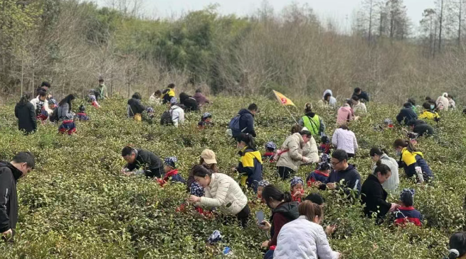 清明赏春光，看仪征花式“整活”