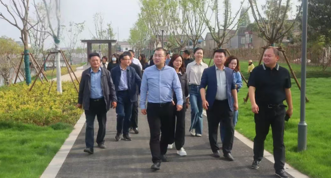 仪征市真州镇：人大代表专题视察评议农村人居环境