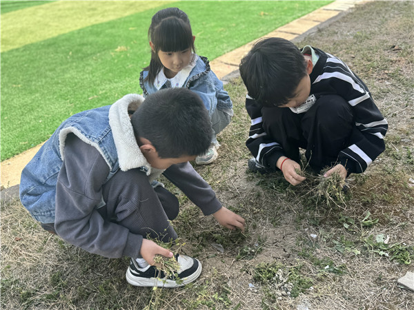 童心向阳 劳动最美——黄花塘镇中心幼儿园开展“五一劳动节”主题教育活动
