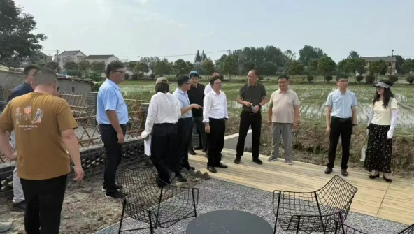 孙爱东调研宜居宜业和美乡村片区项目