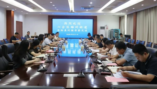 南京市六合区雄州街道来仪征市真州镇考察交流