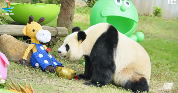 仪征文旅：用“混搭风”玩转国庆中秋黄金周