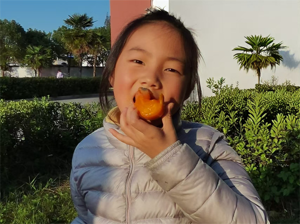 霜降柿子红 童趣满校园——盱眙县五墩实验小学一年级开展霜降主题实践活动