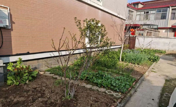 仪征市真州镇城北社区：整治毁绿补新绿 共治家园更靓丽