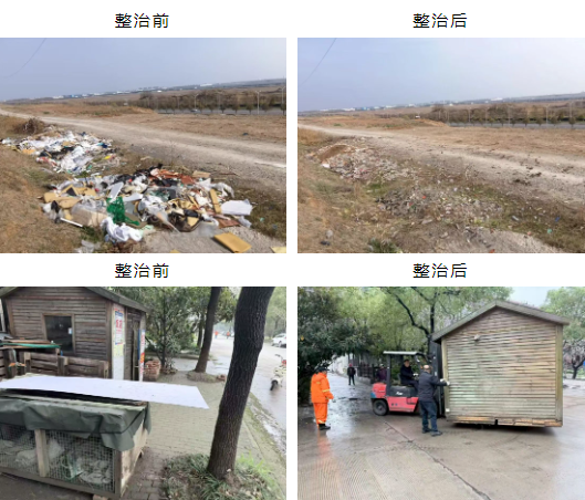 仪征市真州镇：全民共绘新画卷，环境整治正当时